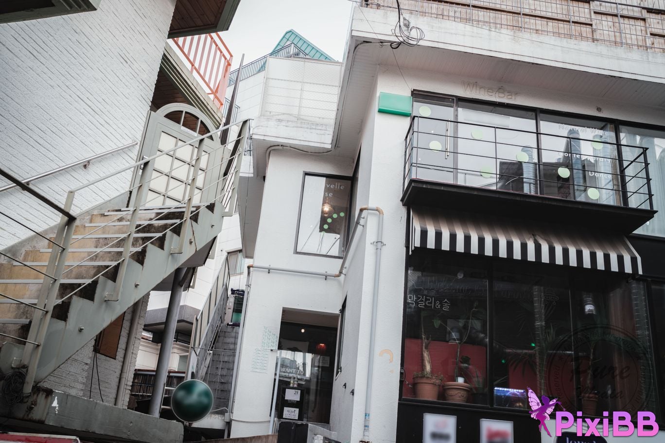 Pure Media Vol.223 Dohee PixiBB.COM 001