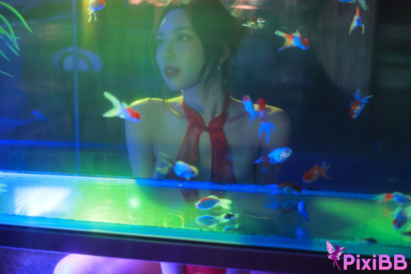 Dongeuran round Hong Kong PixiBB.COM 120