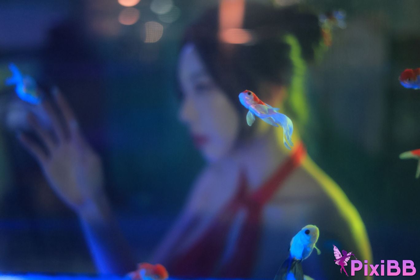 Dongeuran round Hong Kong PixiBB.COM 123