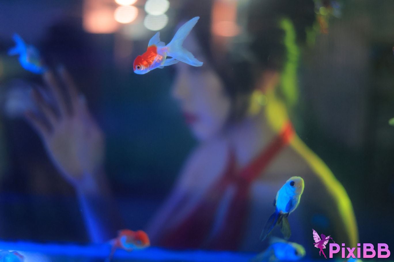 Dongeuran round Hong Kong PixiBB.COM 124