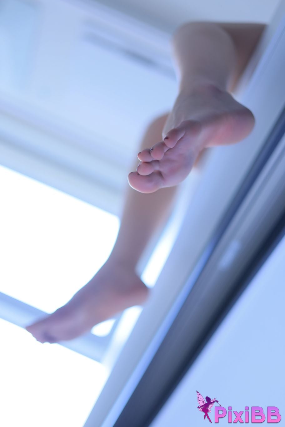 Dongeuran round toy PixiBB.COM 122