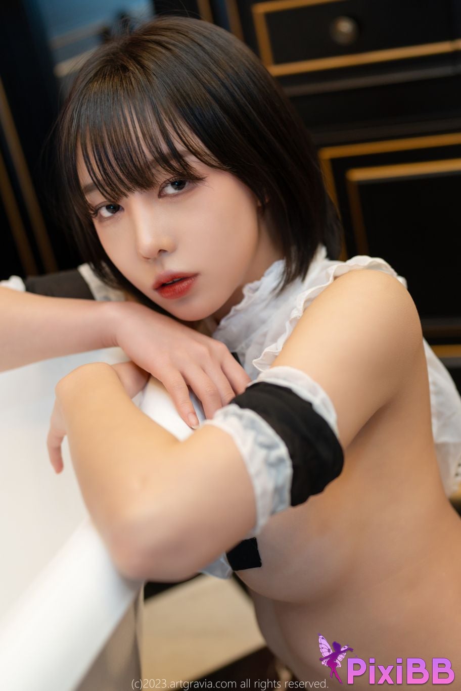 AG.532 Parkhaag Park Haak PixiBB.COM 063