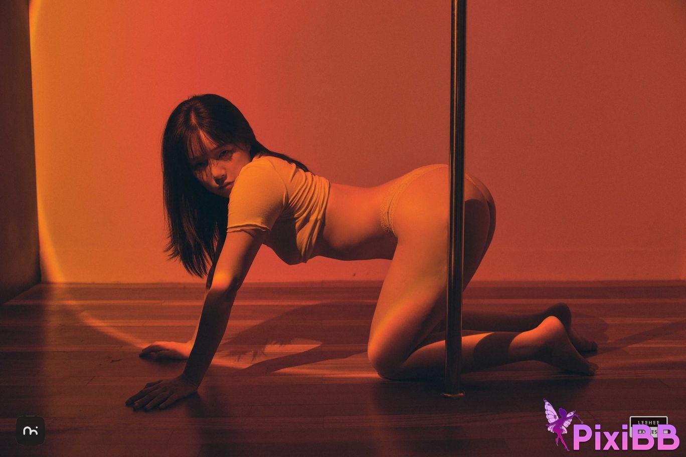 LE LEHF 252 Sir.Bean PixiBB.COM 057