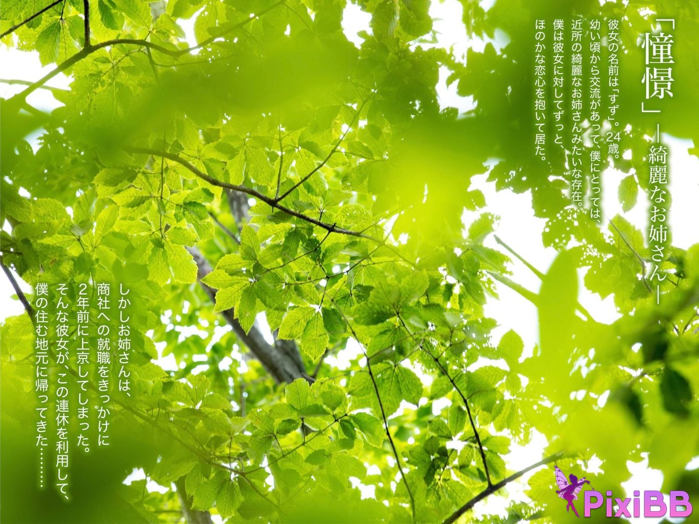 JP Matsuoka Suzu PixiBB.COM 053