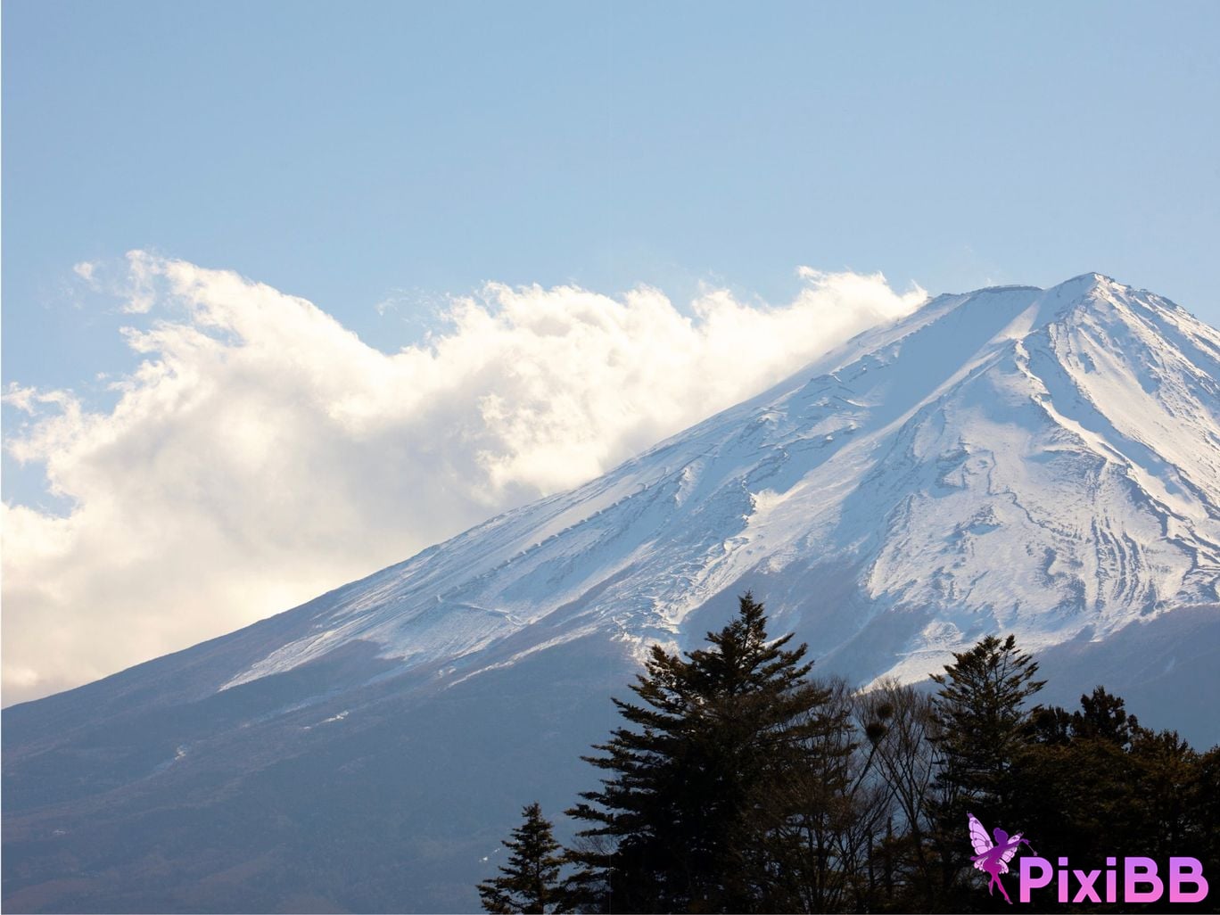 JP Matsuoka Suzu PixiBB.COM 032