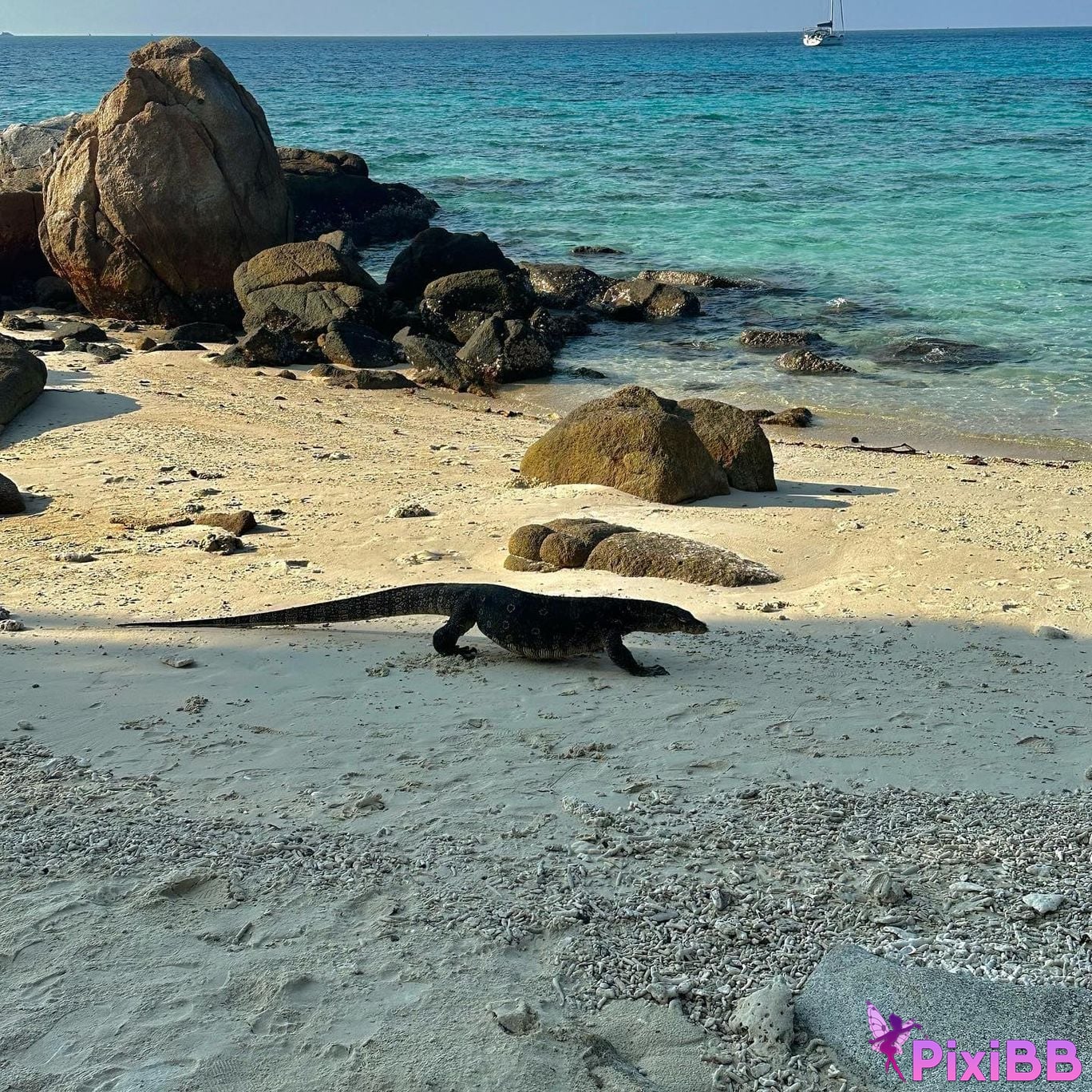 AUDDK 77 Myeong a is Ottoke PixiBB.COM 111