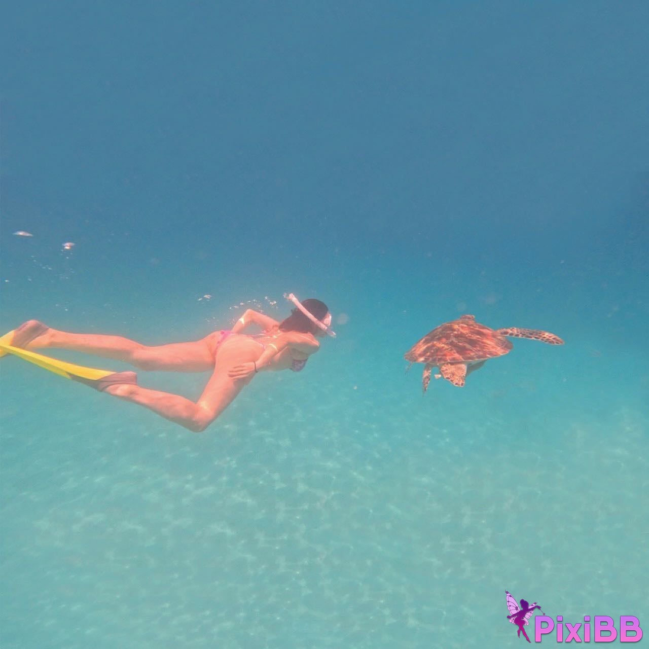 AUDDK 77 Myeong a is Ottoke PixiBB.COM 114