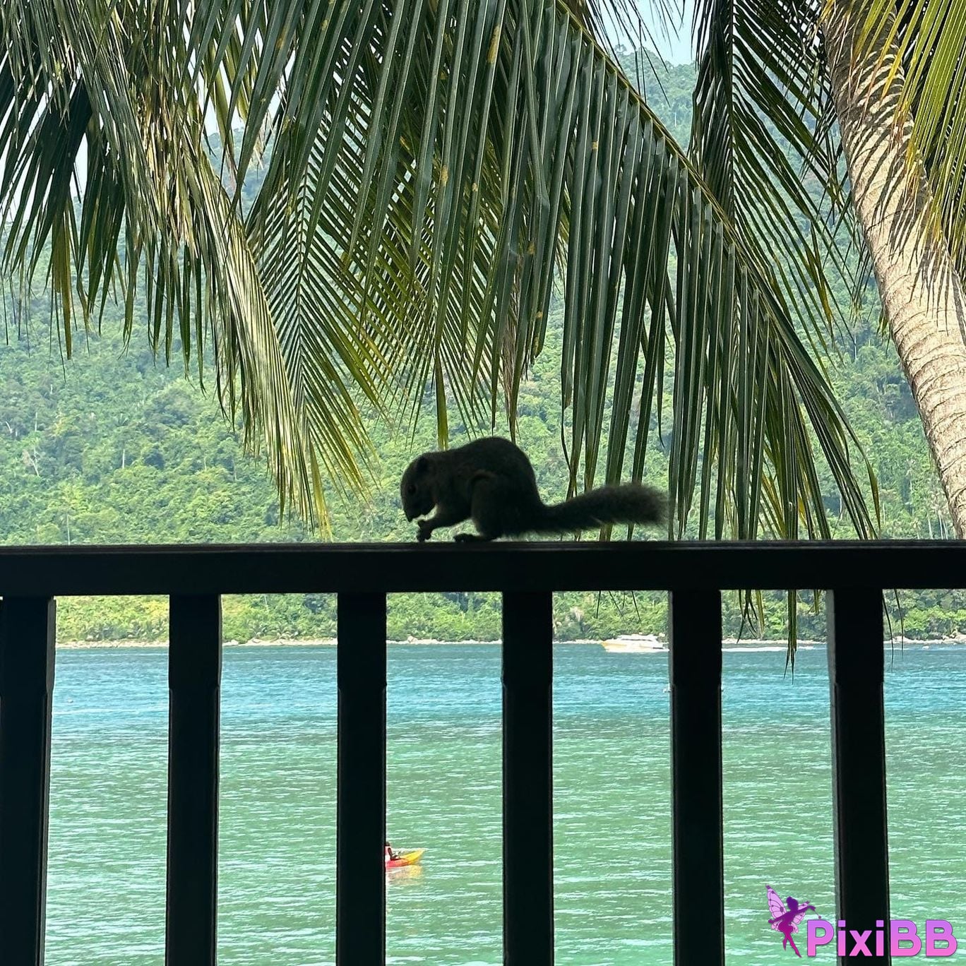 AUDDK 77 Myeong a is Ottoke PixiBB.COM 115