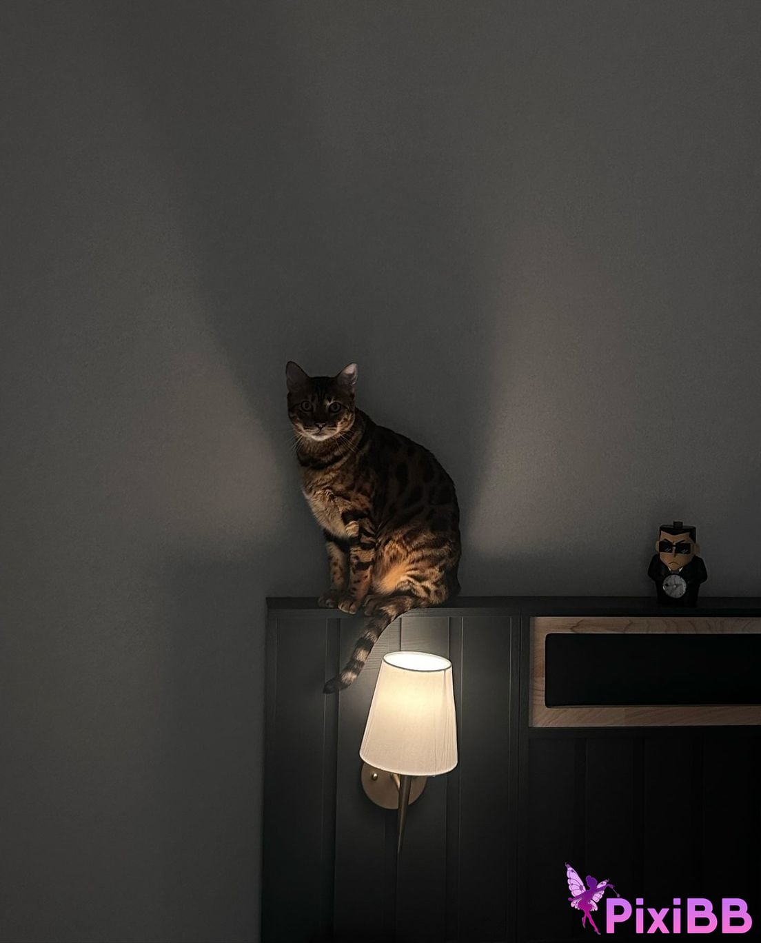 AUDDK 77 Myeong a is Ottoke PixiBB.COM 176