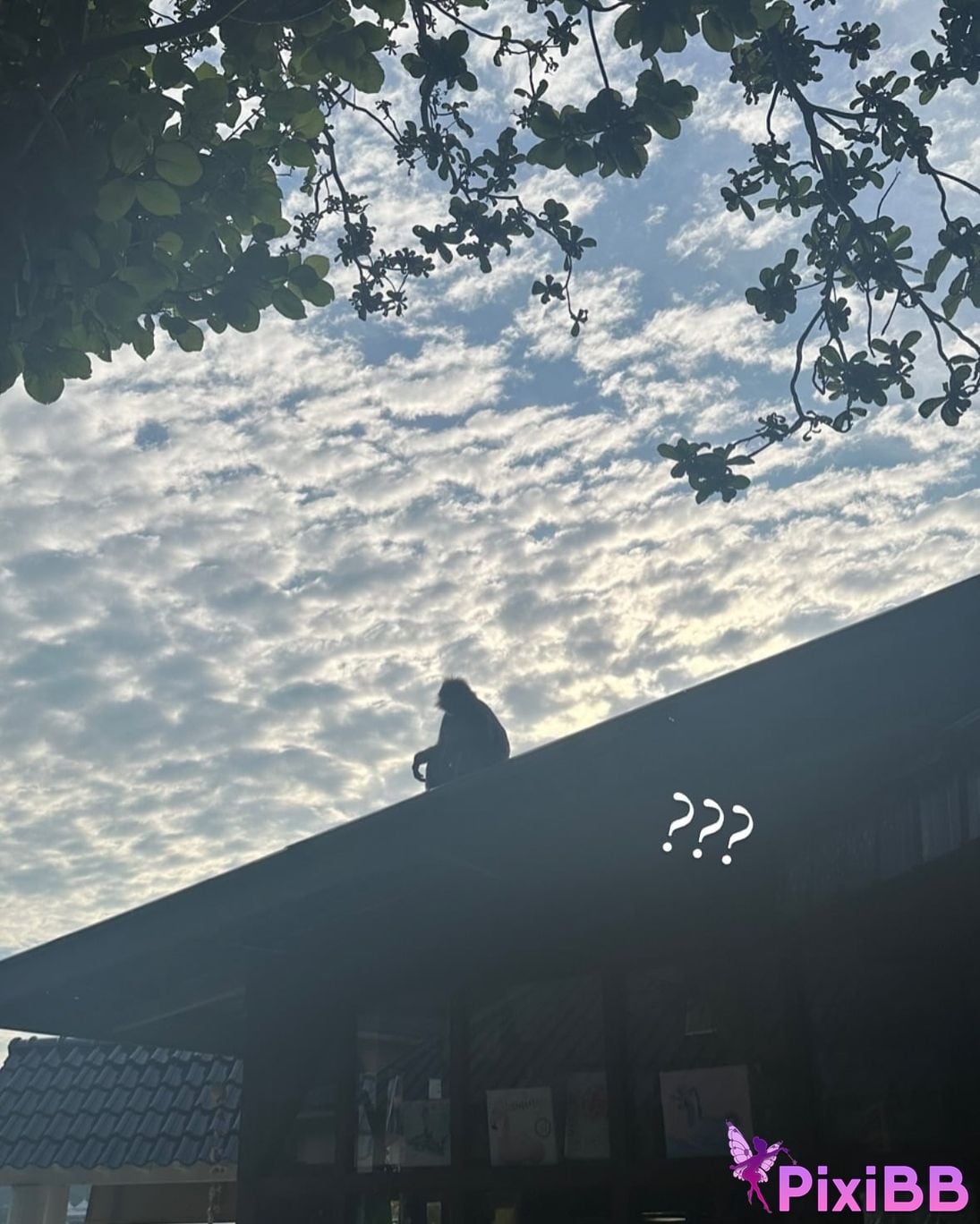 AUDDK 77 Myeong a is Ottoke PixiBB.COM 205