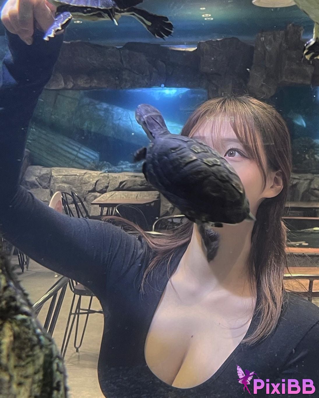 AUDDK 77 Myeong a is Ottoke PixiBB.COM 207