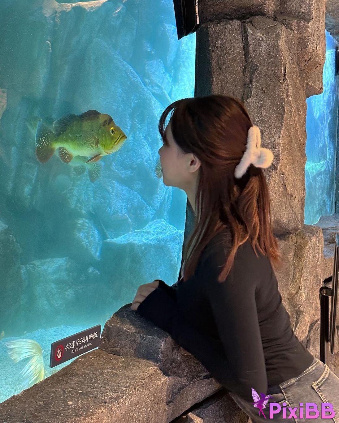 AUDDK 77 Myeong a is Ottoke PixiBB.COM 218