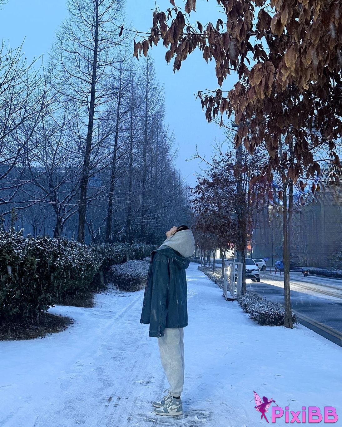 AUDDK 77 Myeong a is Ottoke PixiBB.COM 263