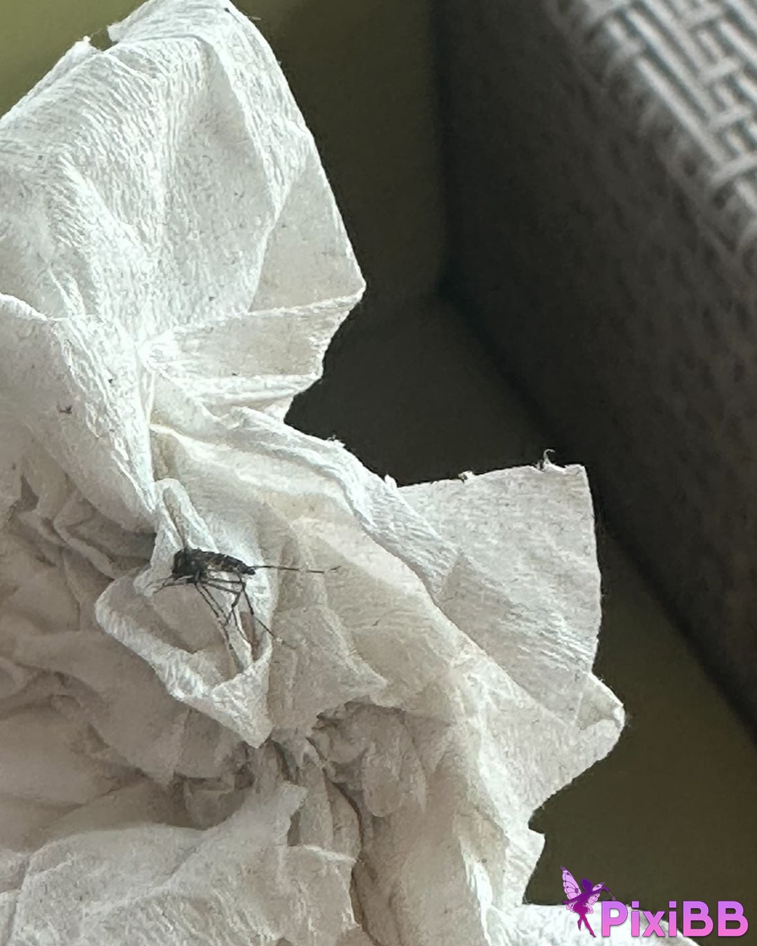 AUDDK 77 Myeong a is Ottoke PixiBB.COM 292