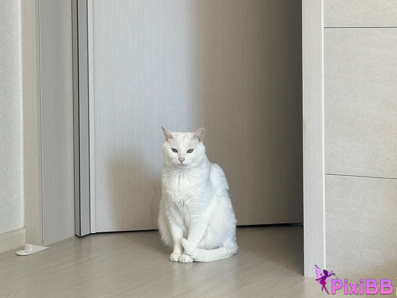 AUDDK 77 Myeong a is Ottoke PixiBB.COM 349