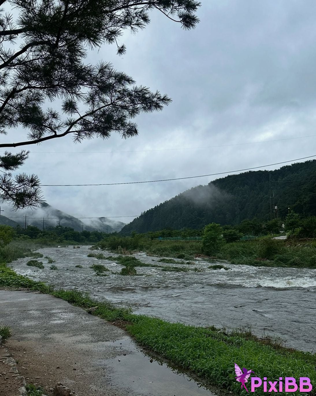 AUDDK 77 Myeong a is Ottoke PixiBB.COM 437