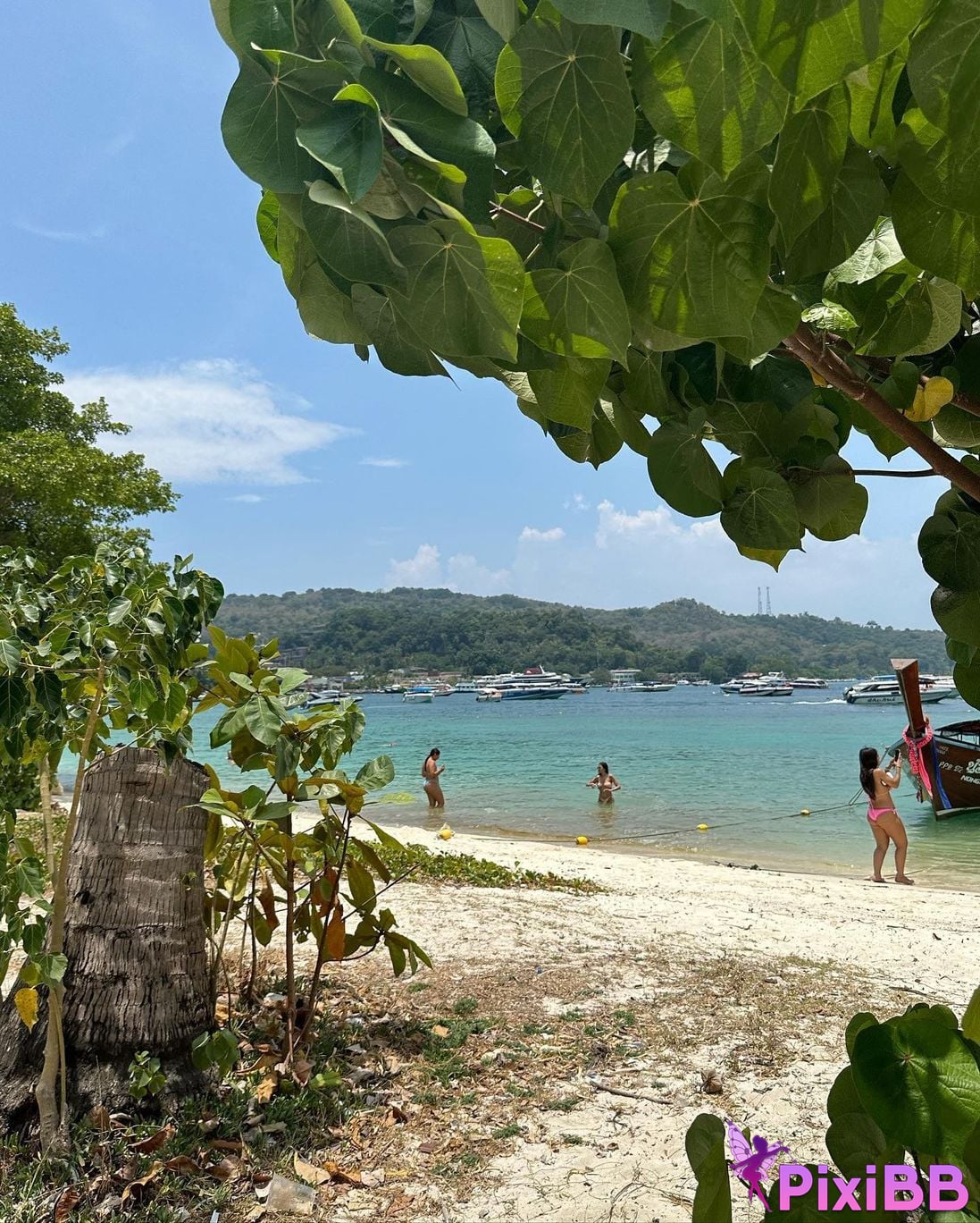 AUDDK 77 Myeong a is Ottoke PixiBB.COM 519