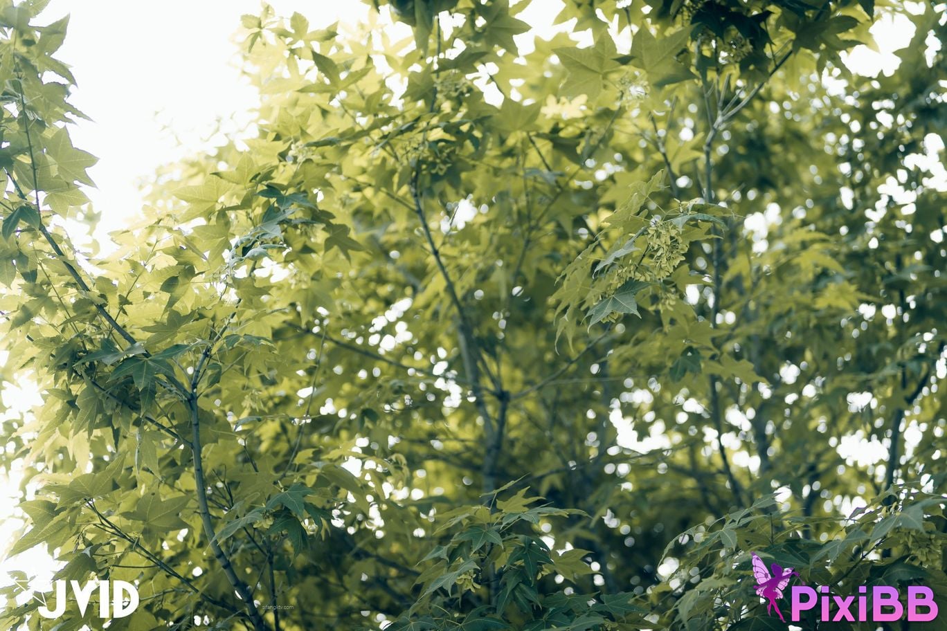 JVID Lele Le Rang Ren Ke Yi Neng Nan Nu Jiao Huan Shen Ti De Xiang Ji Te Xie Bao Liang Jing Ye Ru She PixiBB.COM 107