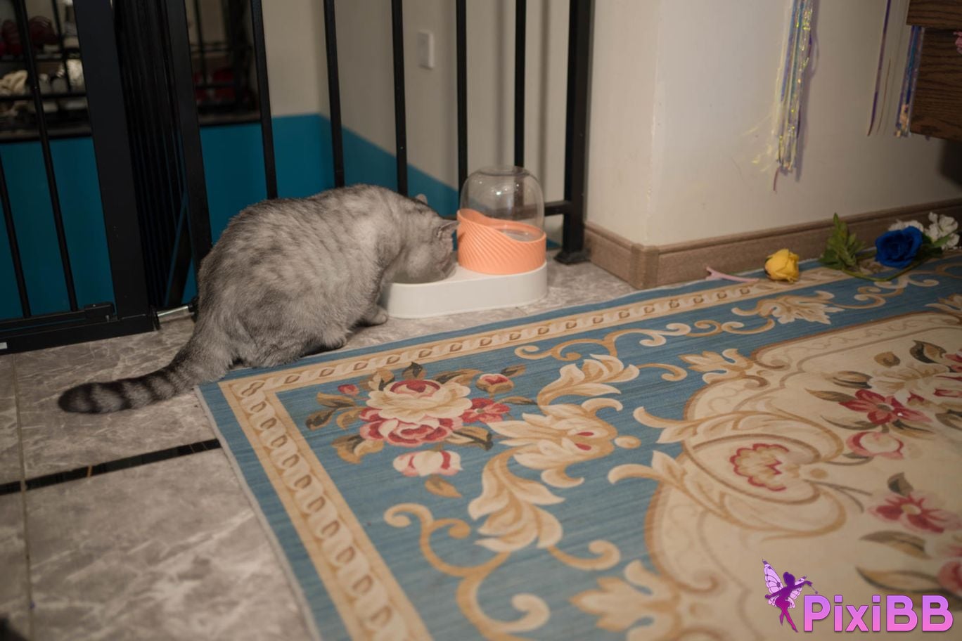 Cosplay Ah Ban is very happy today Horse Racing Girl Y a m t o A k i h e . C r s n S F l g N PixiBB.COM 028