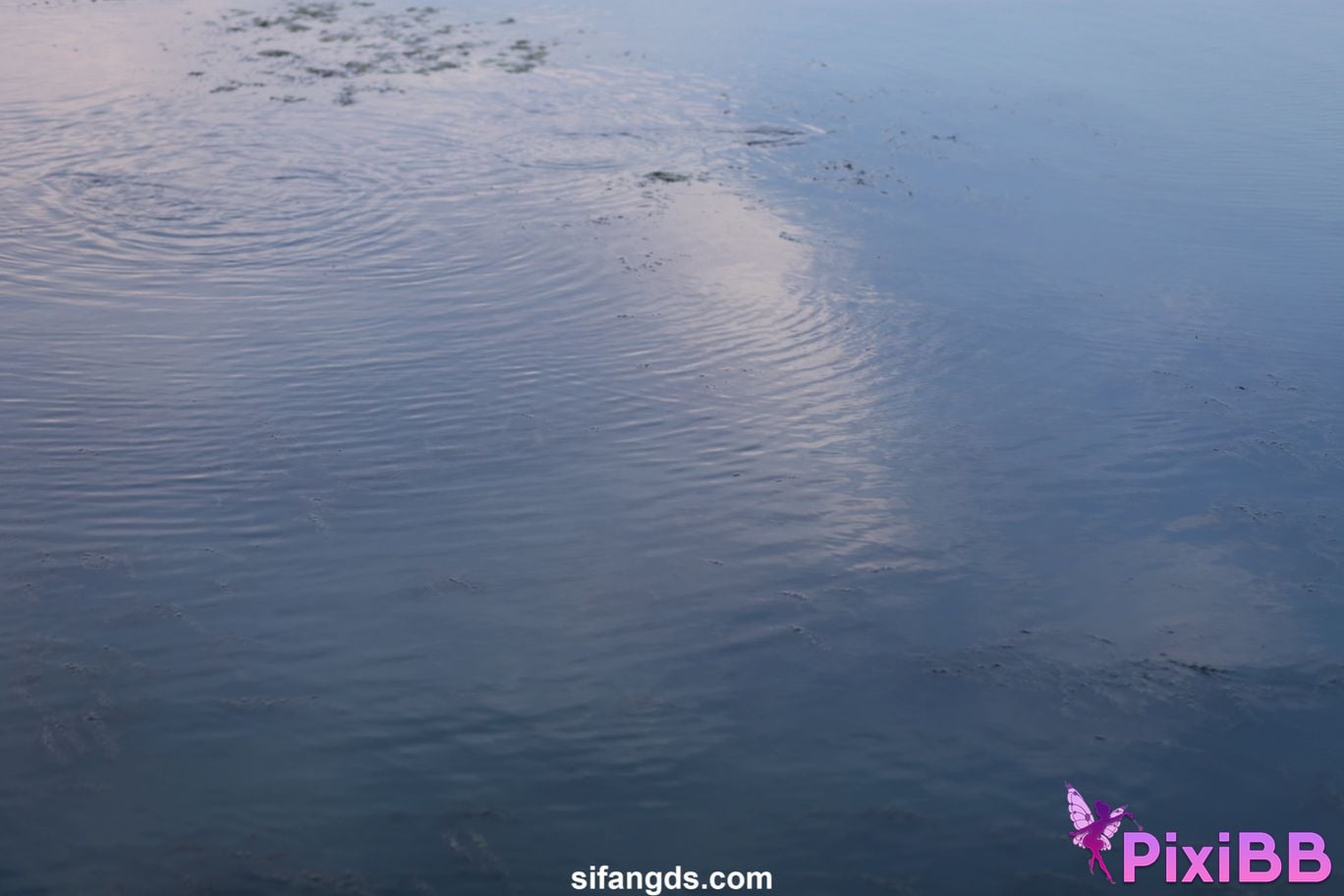 Private Photoshoot Little cute The girl in the next class White tender and pure school beauty Full scale private shooting PixiBB.COM 036