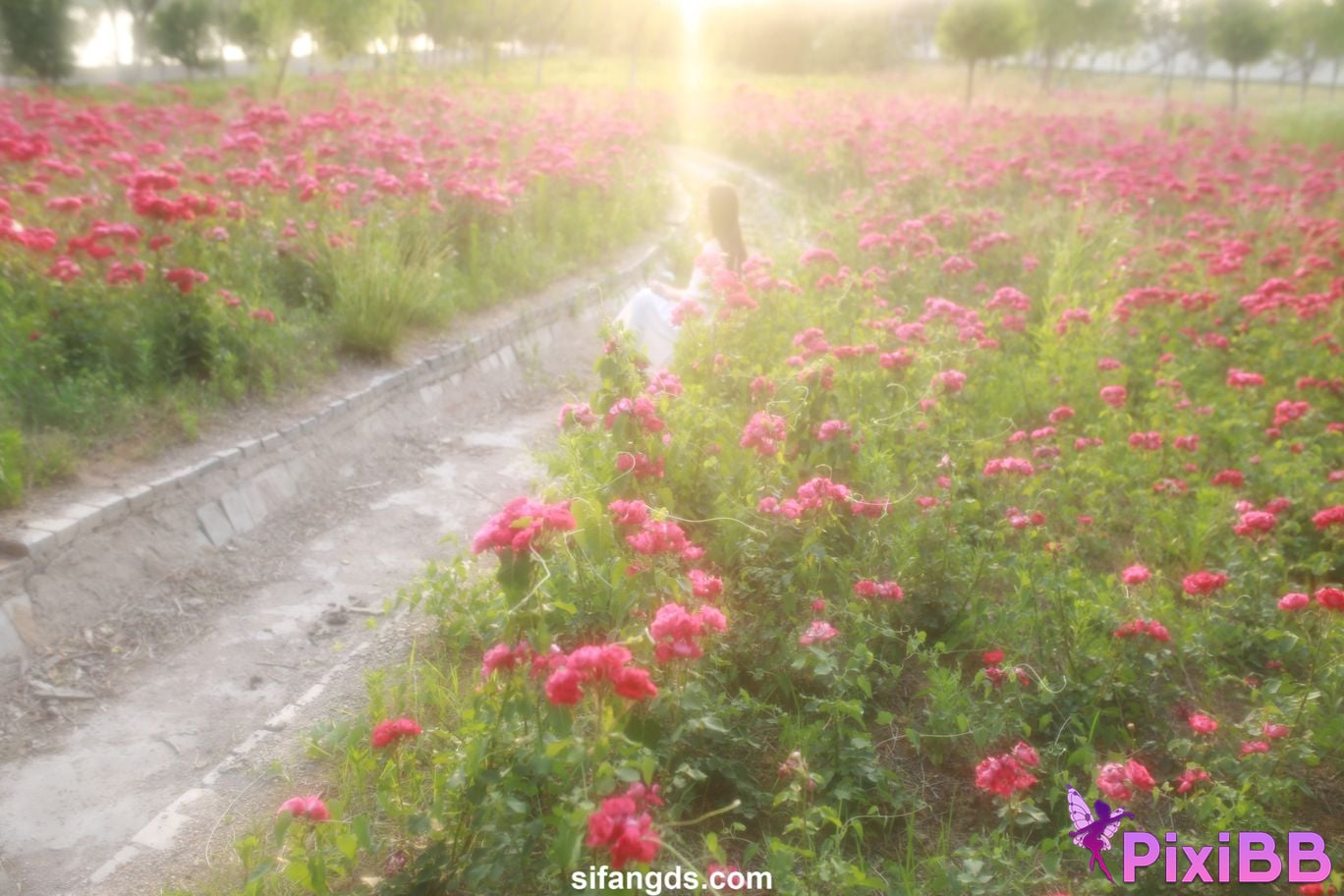 Private Photoshoot Little cute The girl in the next class White tender and pure school beauty Full scale private shooting PixiBB.COM 212