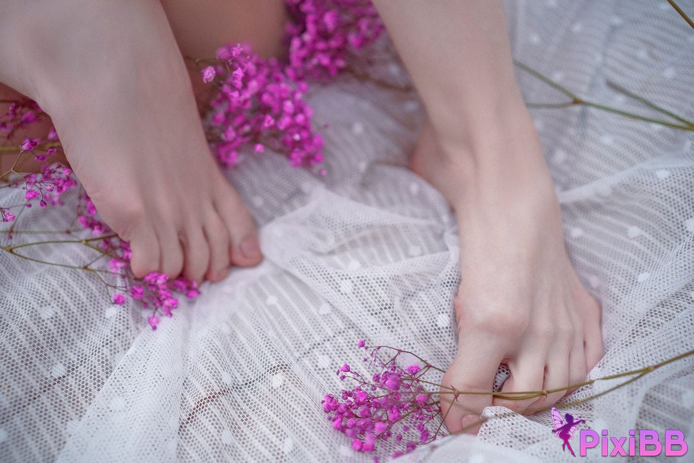 Vinnegal Fern PixiBB.COM 38