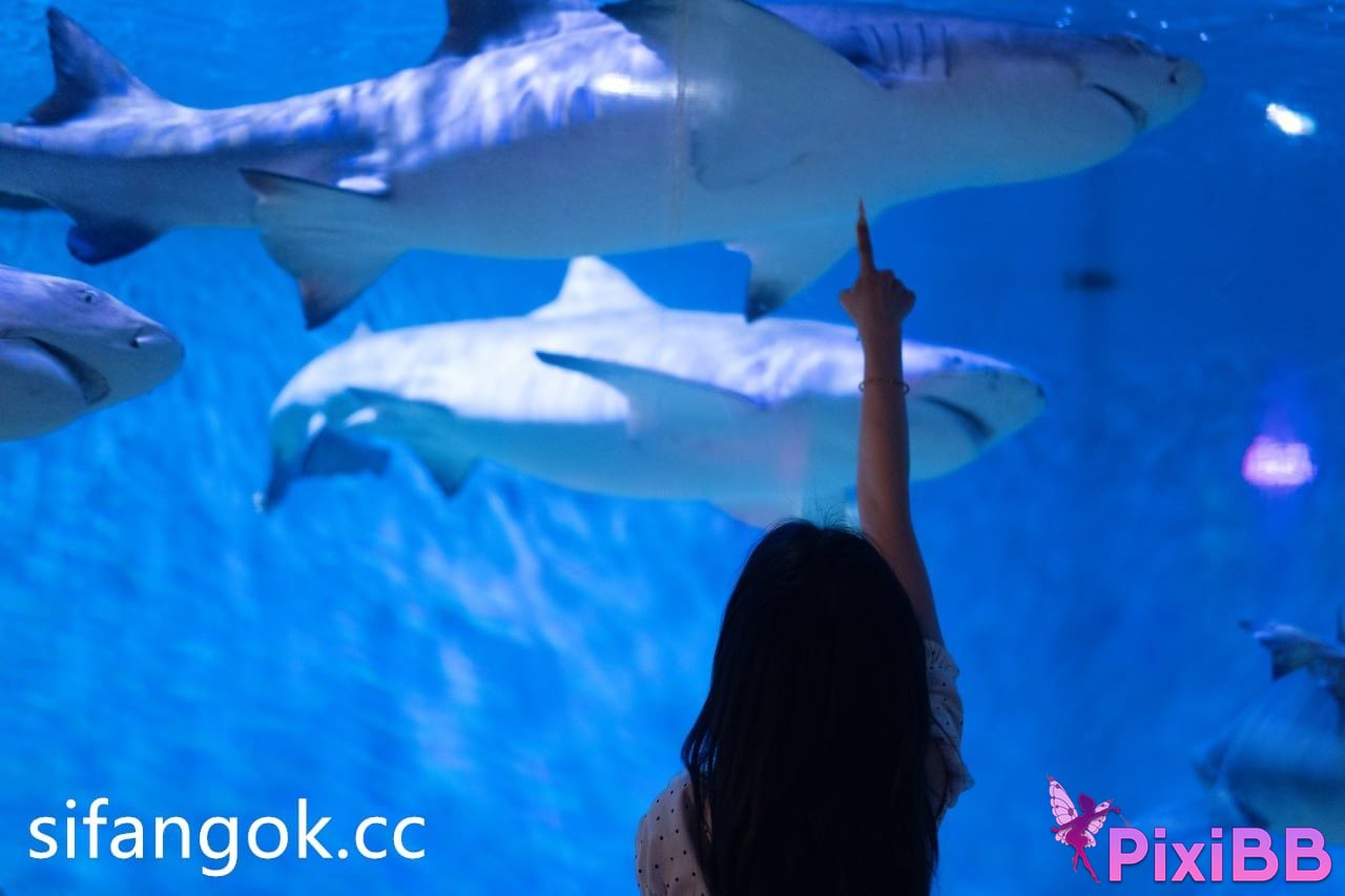 little bit Top beauty life photos PixiBB.COM 103