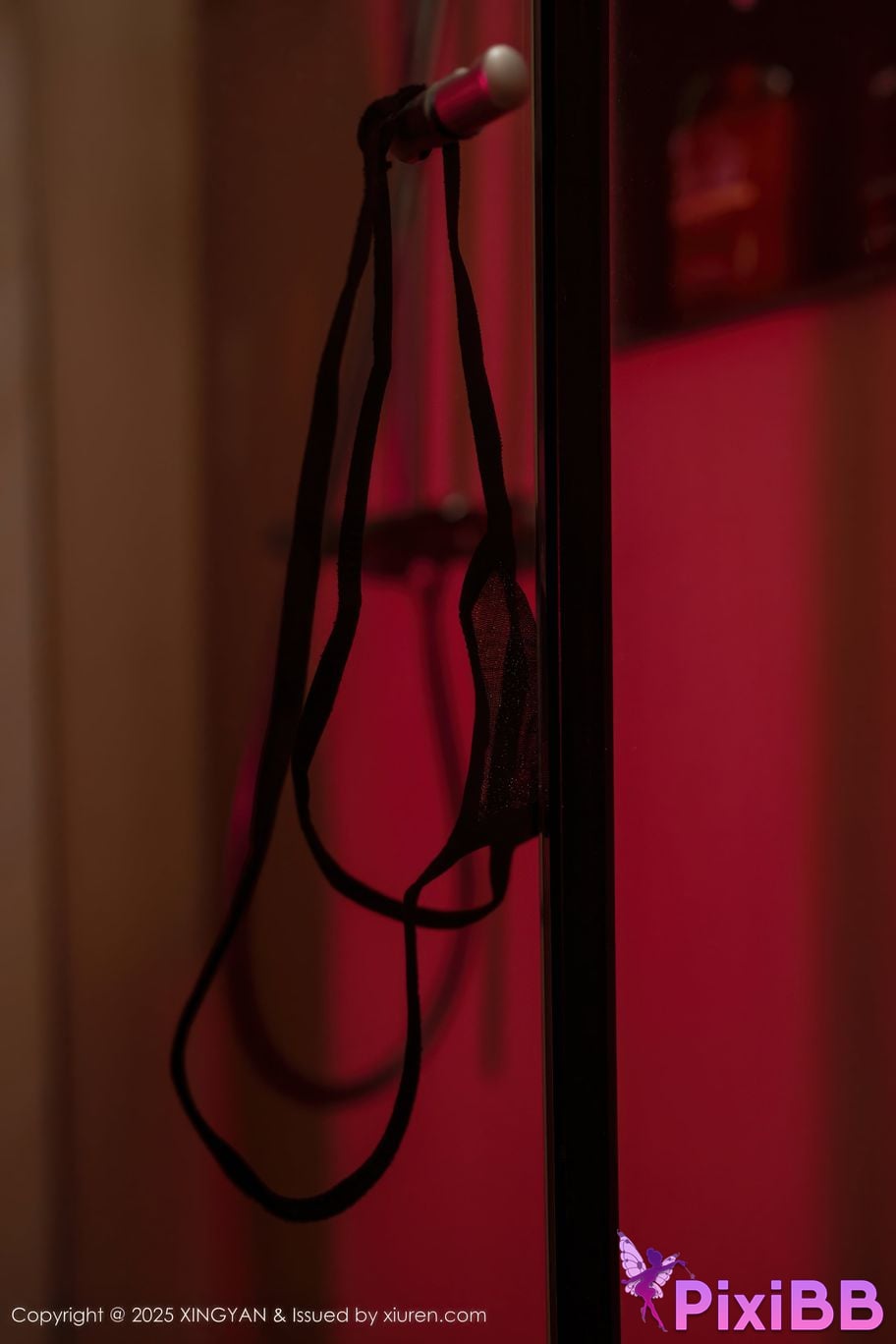 XingYan Vol.424 Shen Nanxi RuRu PixiBB.COM 016