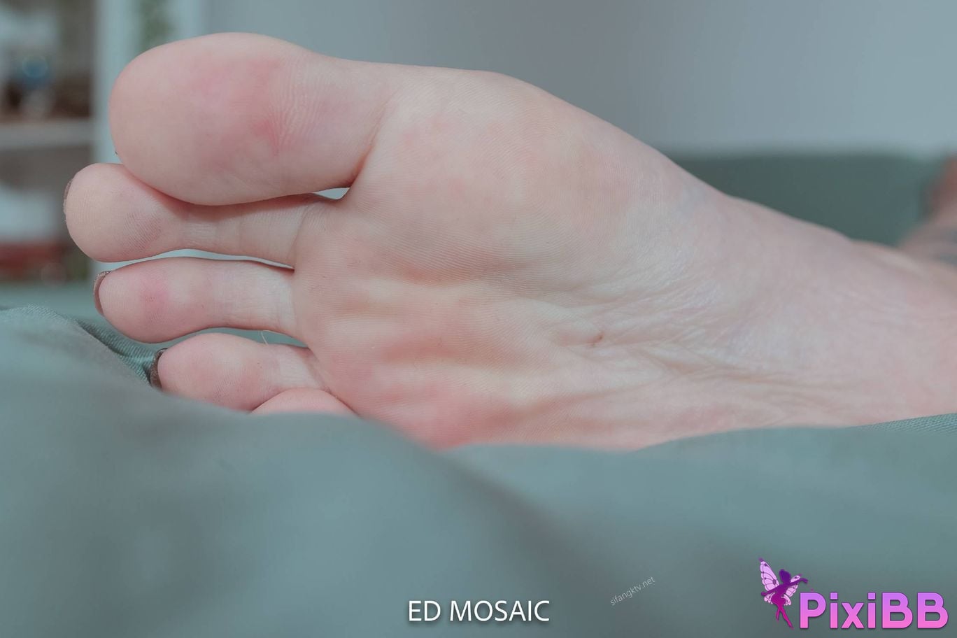 ED Mosaic Erotic photographer Beautiful legs and feet of the goddess PixiBB.COM 133