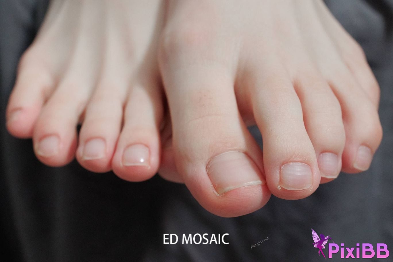 ED Mosaic Erotic photographer Beautiful legs and feet of the goddess PixiBB.COM 356