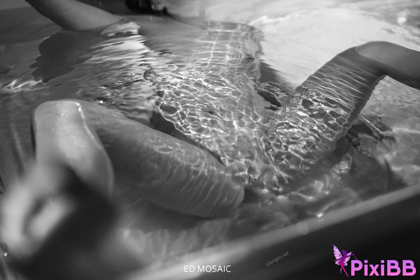 ED Mosaic Zhui Zong Jiu You Fu Li Zhao Collection of famous instruments PixiBB.COM 127