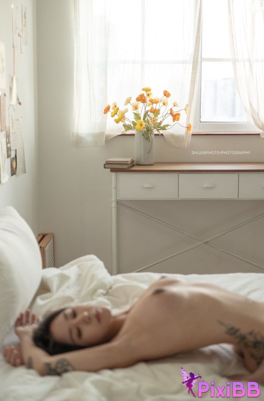 Shijun Goblin A collection of top art and erotic views PixiBB.COM 006