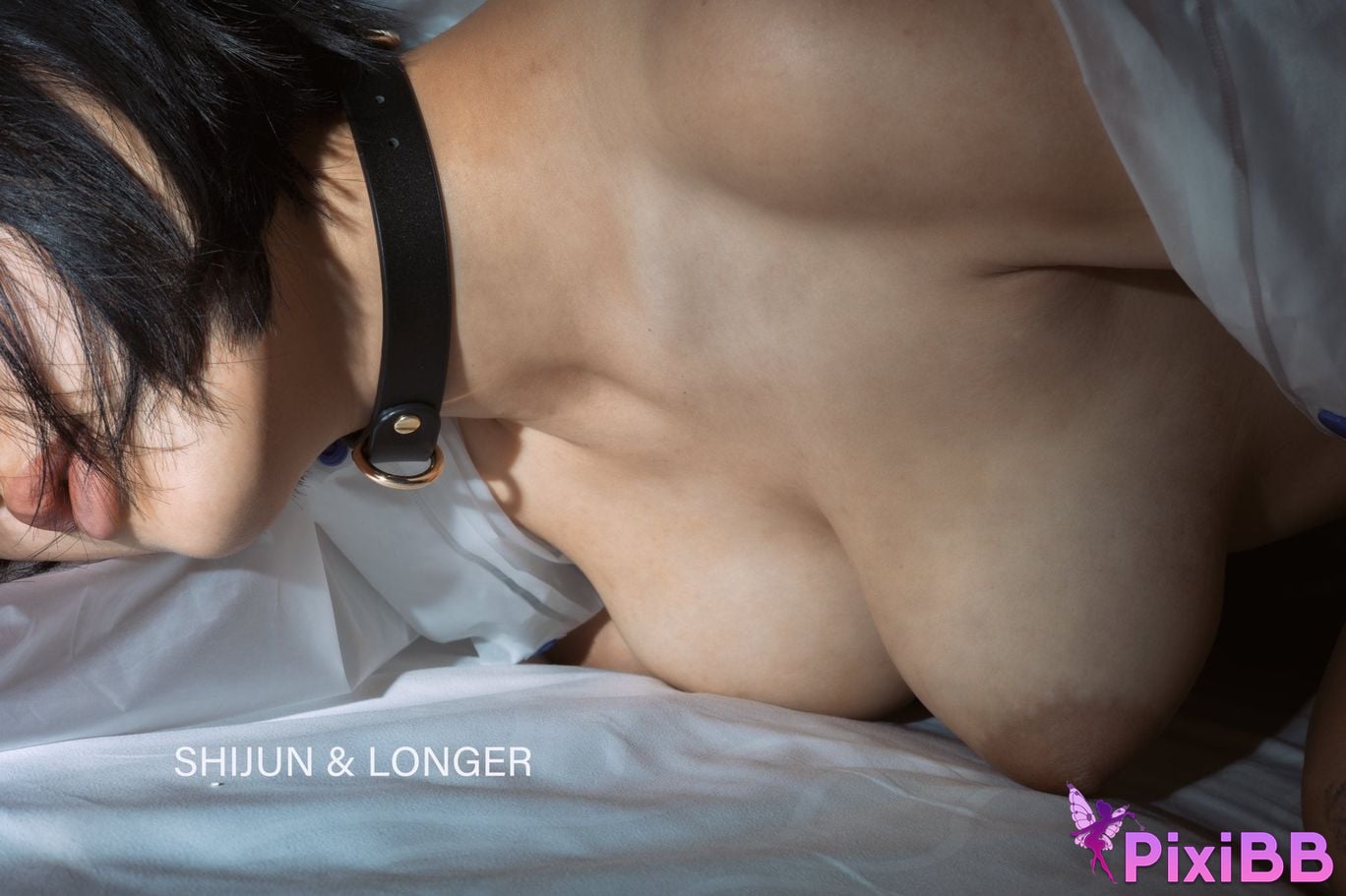 Shijun Goblin A collection of top art and erotic views PixiBB.COM 064