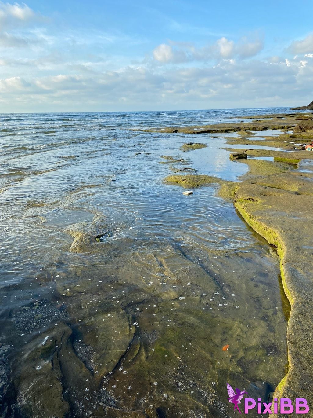 Shijun Goblin A collection of top art and erotic views PixiBB.COM 194