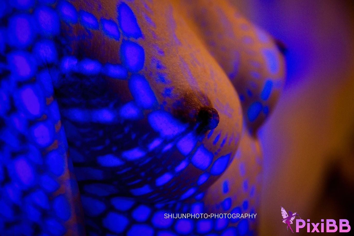 Shijun Goblin A collection of top art and erotic views PixiBB.COM 216