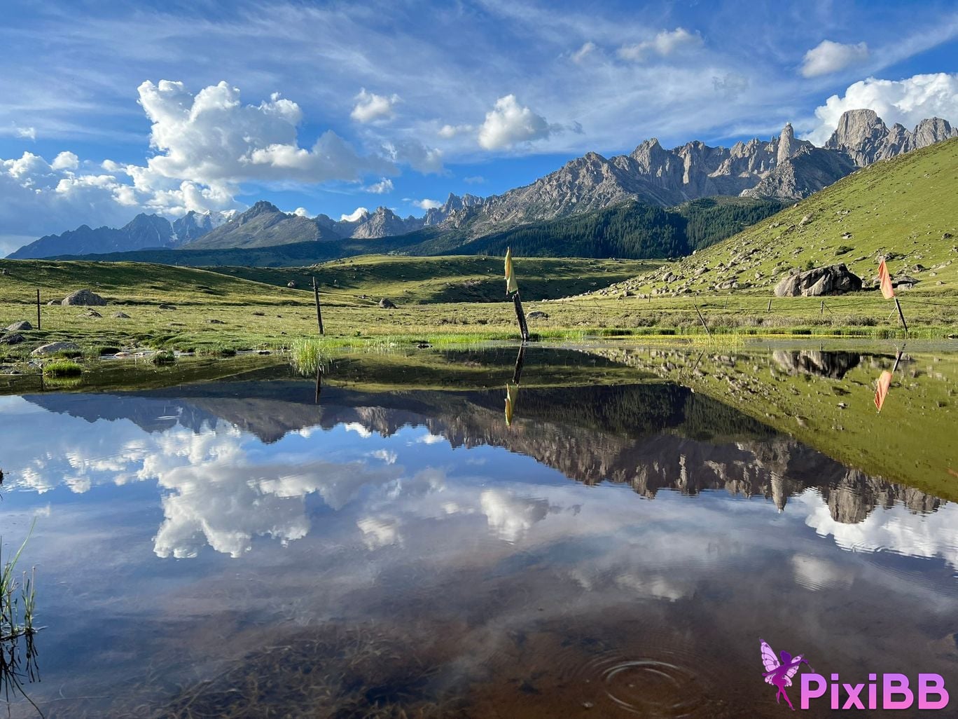 Shijun Goblin A collection of top art and erotic views PixiBB.COM 299