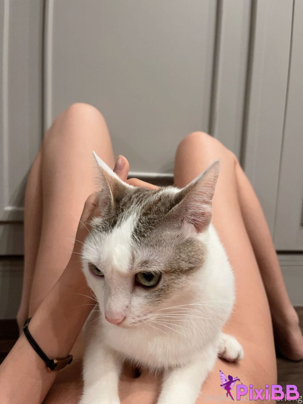 Deerlong sweet goddess OnlyFans Collection full scale temptation PixiBB.COM 401