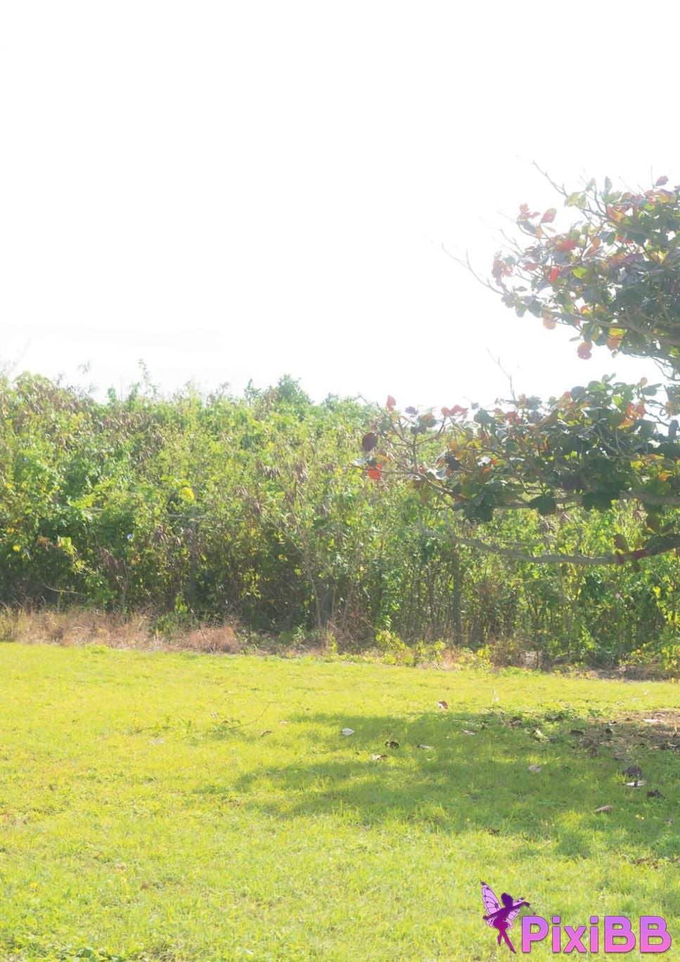 Japanese Idol Rena Momozono Tao Yuan Lian Nai photo collection MO2 additional page Digital special edition PixiBB.COM 012