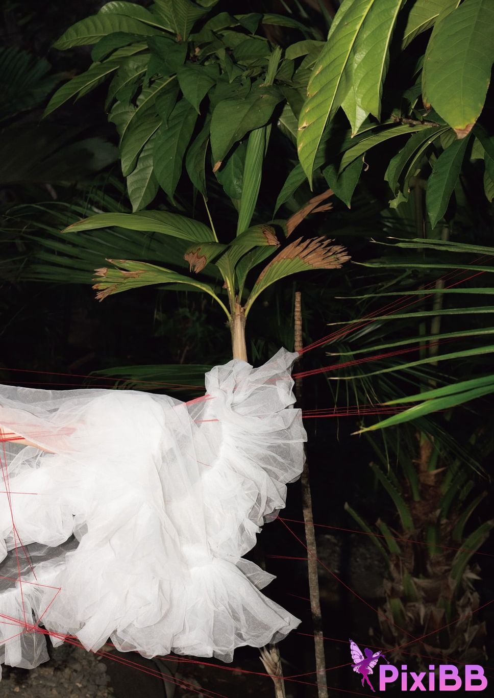 Japanese Idol Rena Momozono Tao Yuan Lian Nai photo collection RemotioNal PixiBB.COM 011