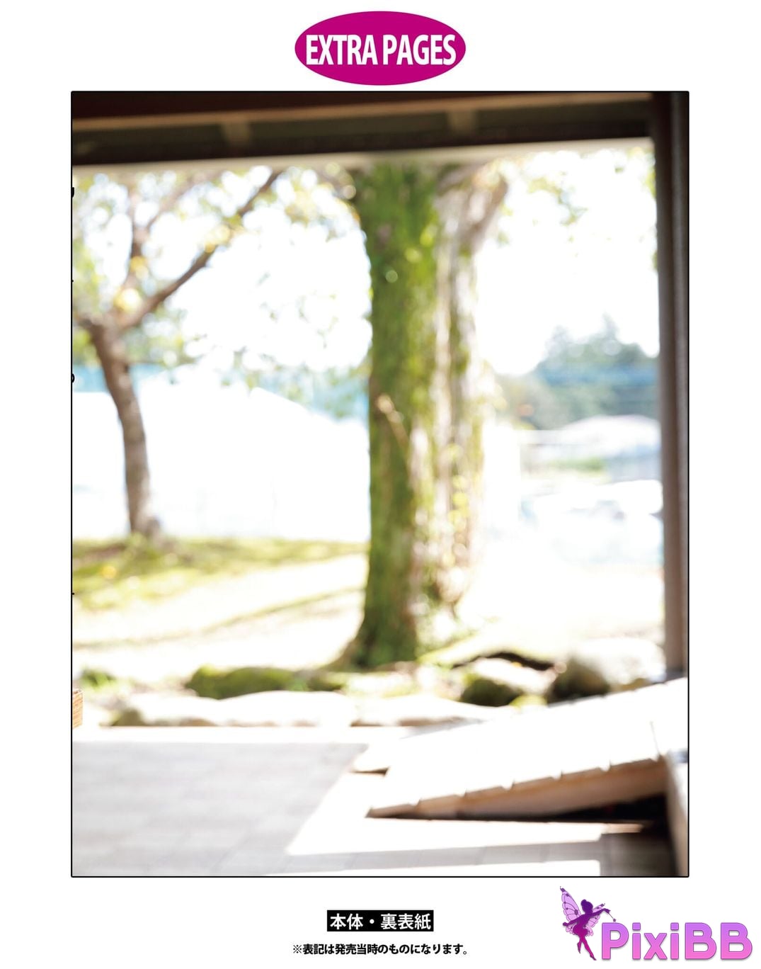 Japanese Idol Sayuri Date P h o t i n e r v w b k T u m l a d p I f PixiBB.COM 226