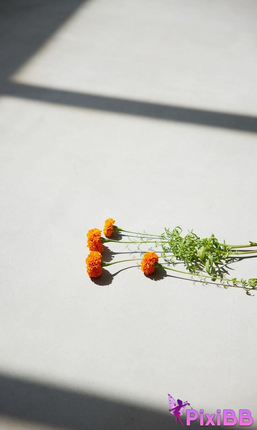 Japanese Idol Sayuri Date photo collection always My Girl PHOTO BOOK PixiBB.COM 002