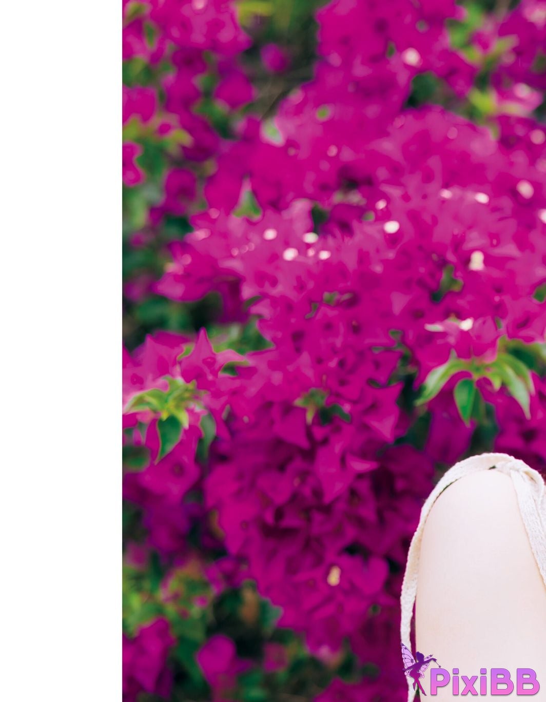 Japanese Idol Sayuri Date 1st photo collection Footprints PixiBB.COM 061