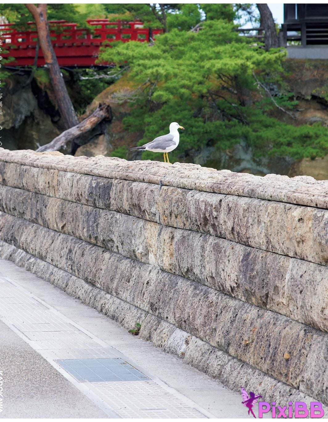 Japanese Idol Sayuri Date 1st photo collection Footprints PixiBB.COM 118
