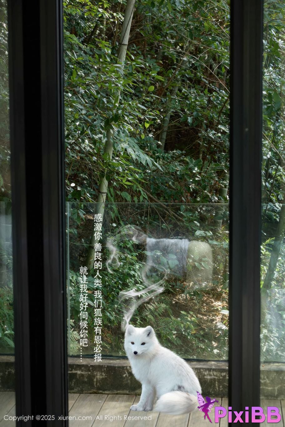 XIUREN No.11068 Yin Tian Tiantian sunny PixiBB.COM 001