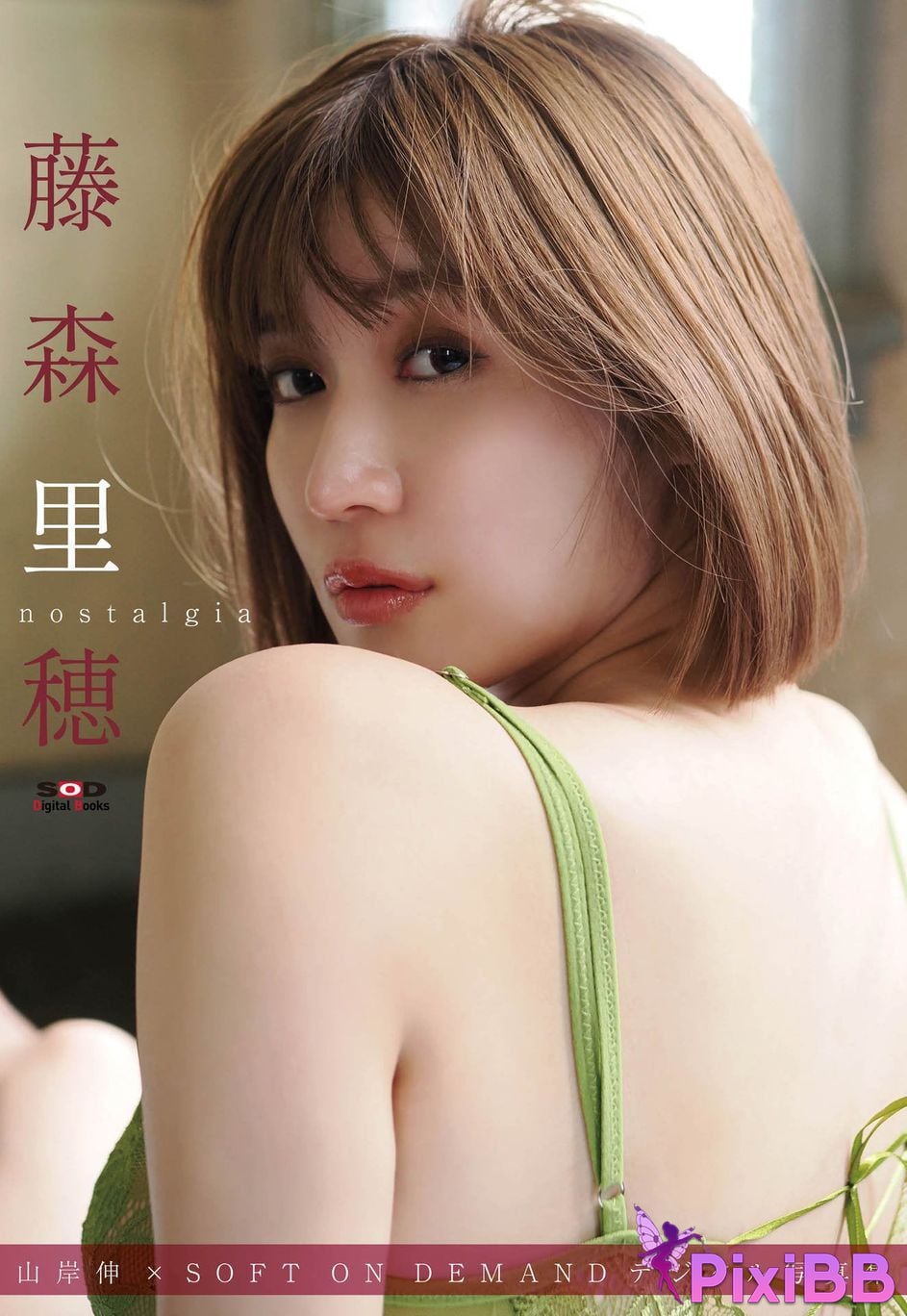 Japanese Idol Riho Fujimori Shin Yamagishi x SOFT ON DEMAND digital photo book nostalgia PixiBB.COM 001