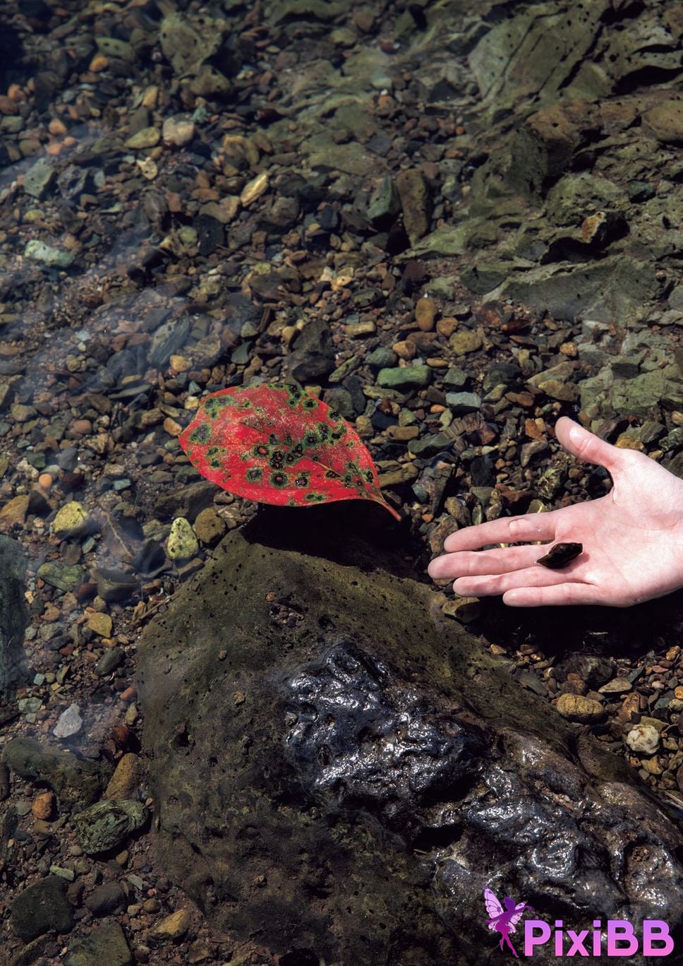 Japanese Idol Tsukasa Aoi photo collection complete version PixiBB.COM 065