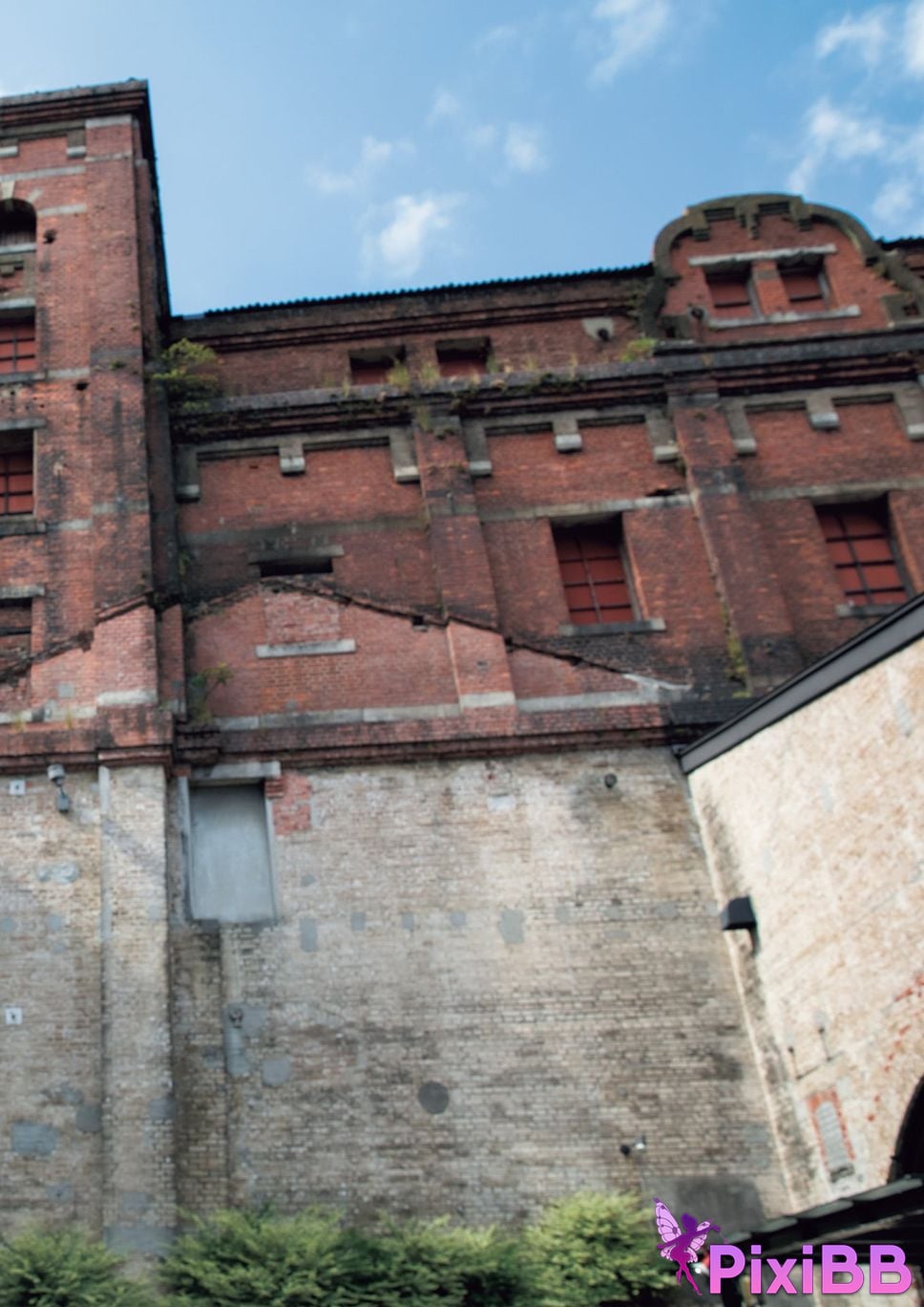 Japanese Idol Tsukasa Aoi photo collection complete version PixiBB.COM 070