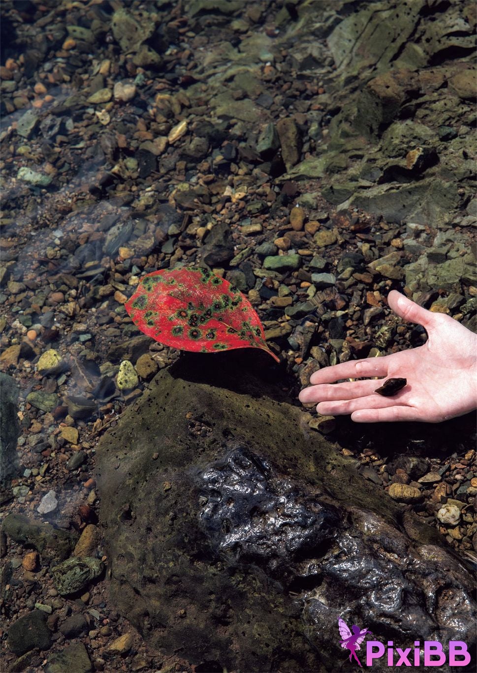 JP Tsukasa Aoi PixiBB.COM 055