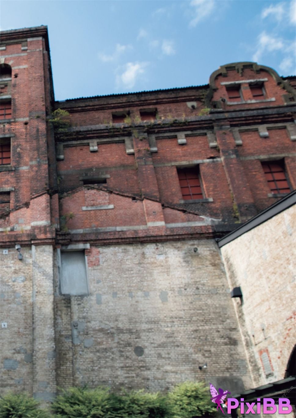 JP Tsukasa Aoi PixiBB.COM 060