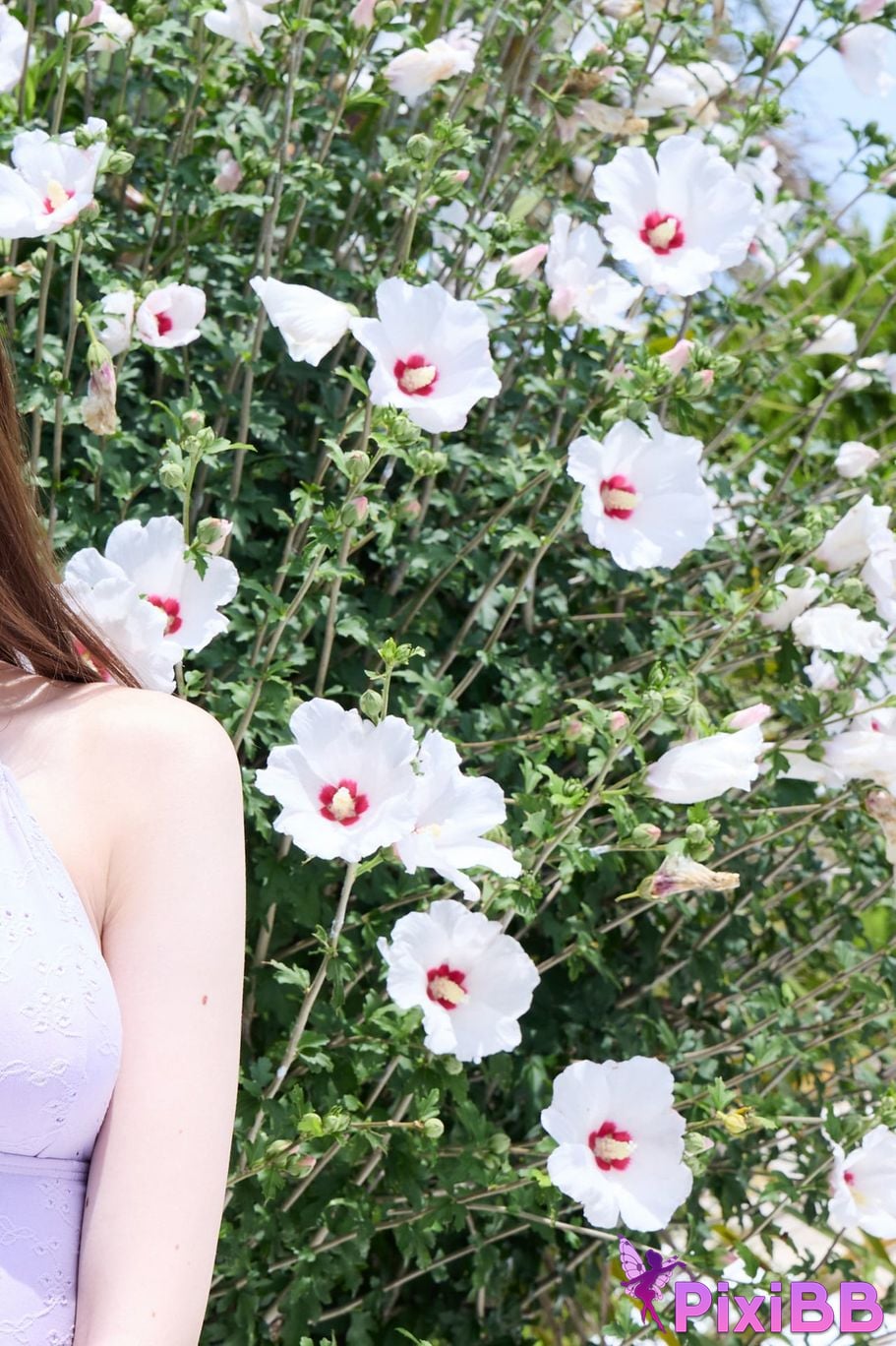 Japanese Idol Cecile Nana Cecil Weekly modern digital photo collection seaside gem PixiBB.COM 099